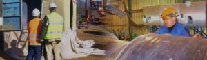 Worker in food processing manufacturing plant works in safety gear